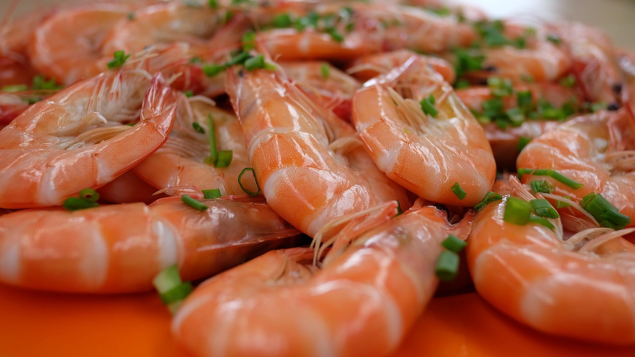 중새우의 매력에 빠져보세요! 맛과 영양을 한 번에 알아보는 시간