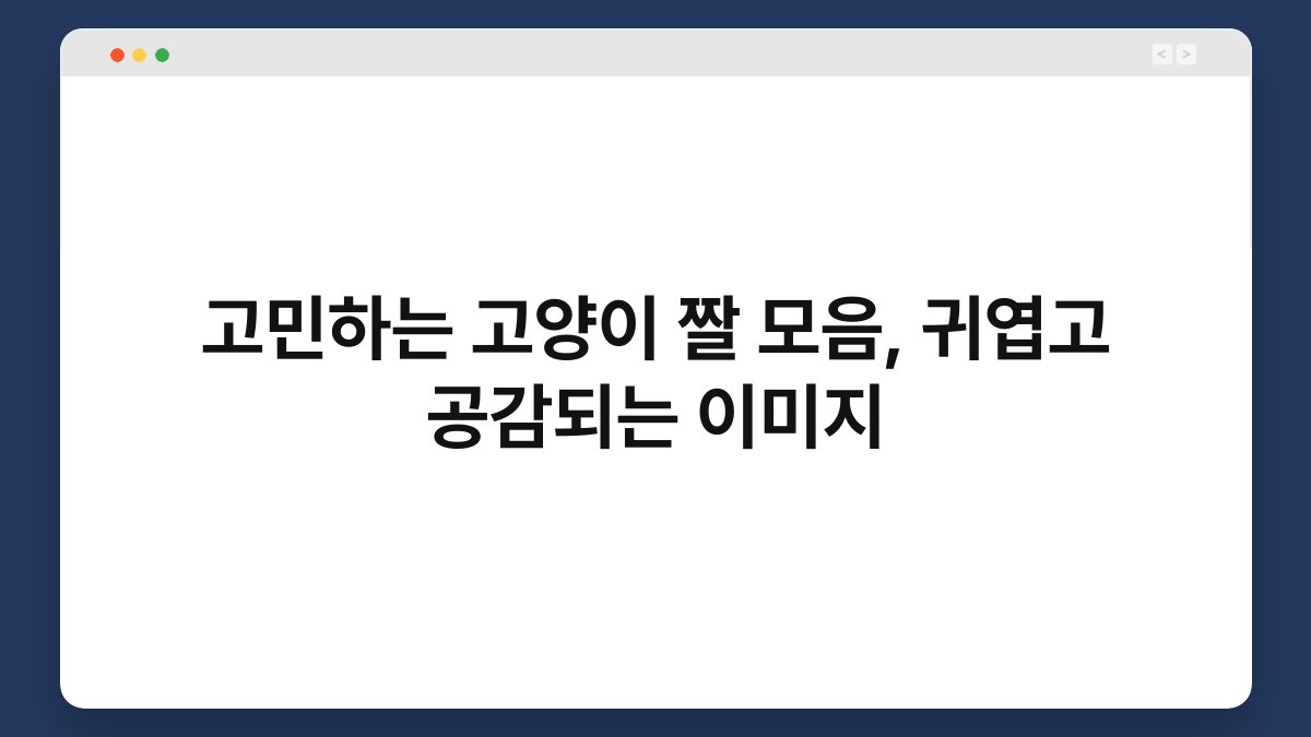 고민하는 고양이 짤 모음, 귀엽고 공감되는 이미지