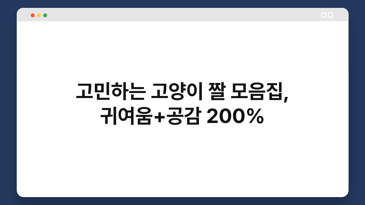 고민하는 고양이 짤 모음집, 귀여움+공감 200%