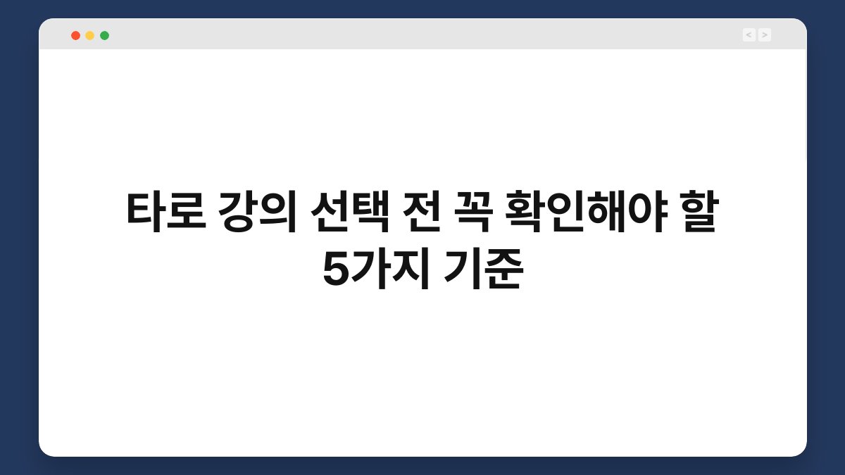 타로 강의 선택 전 꼭 확인해야 할 5가지 기준