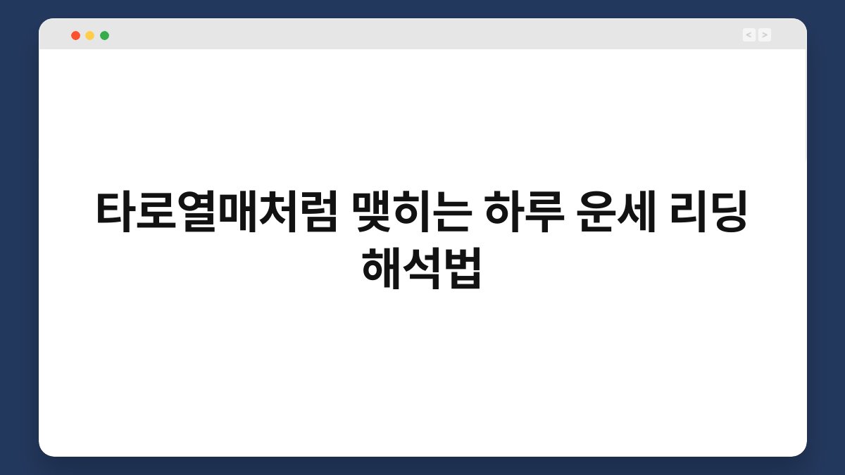 타로열매처럼 맺히는 하루 운세 리딩 해석법